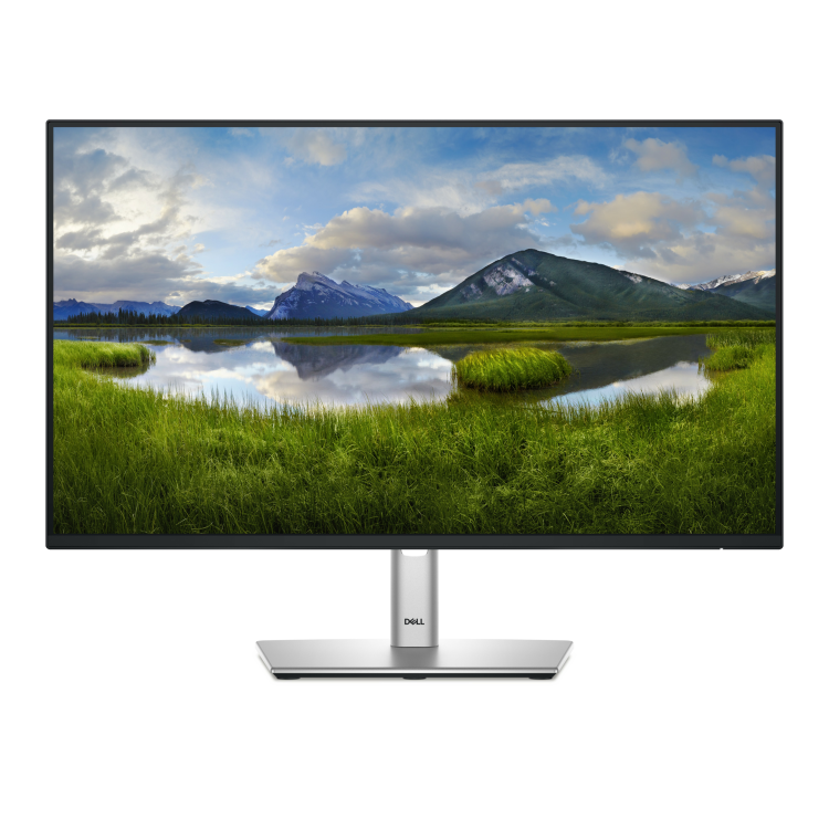 Dell P2425HE 24" IPS Full HD USB-C Monitor 